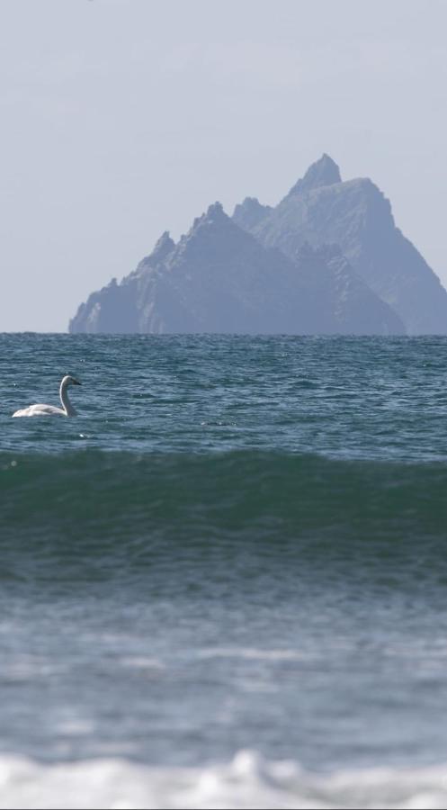 Skellig Port Accomodation - 2 Bed Apartment Portmagee Buitenkant foto